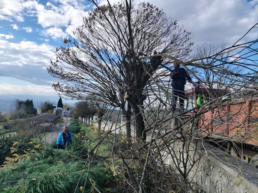 Hendek'te çalışmalar hız kesmeden devam ediyor - Sayfa 7