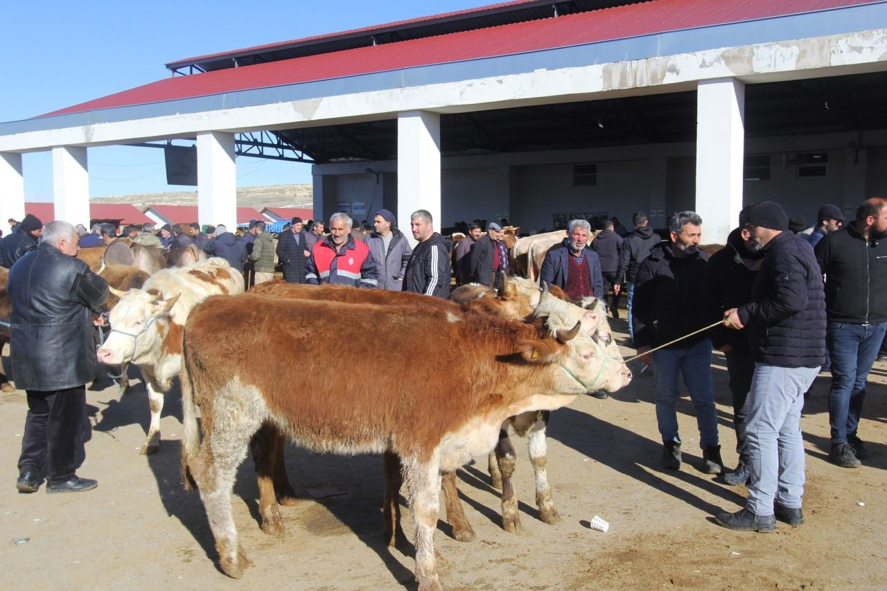 Bayburt’ta Şap Hastalığı Nedeniyle Hayvan Pazarına Karantina - Sayfa 2