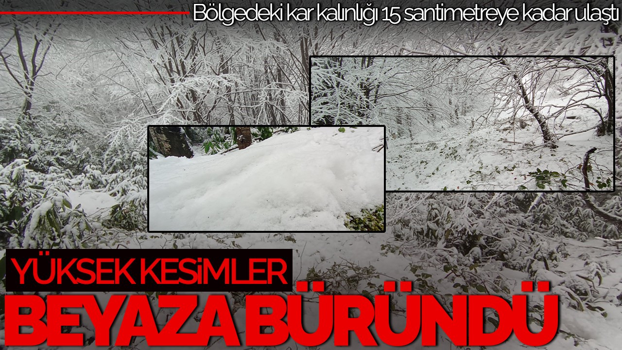 Sakarya'nın Yüksek Kesimleri Beyaza Büründü: Kar Kalınlığı 15 Santim