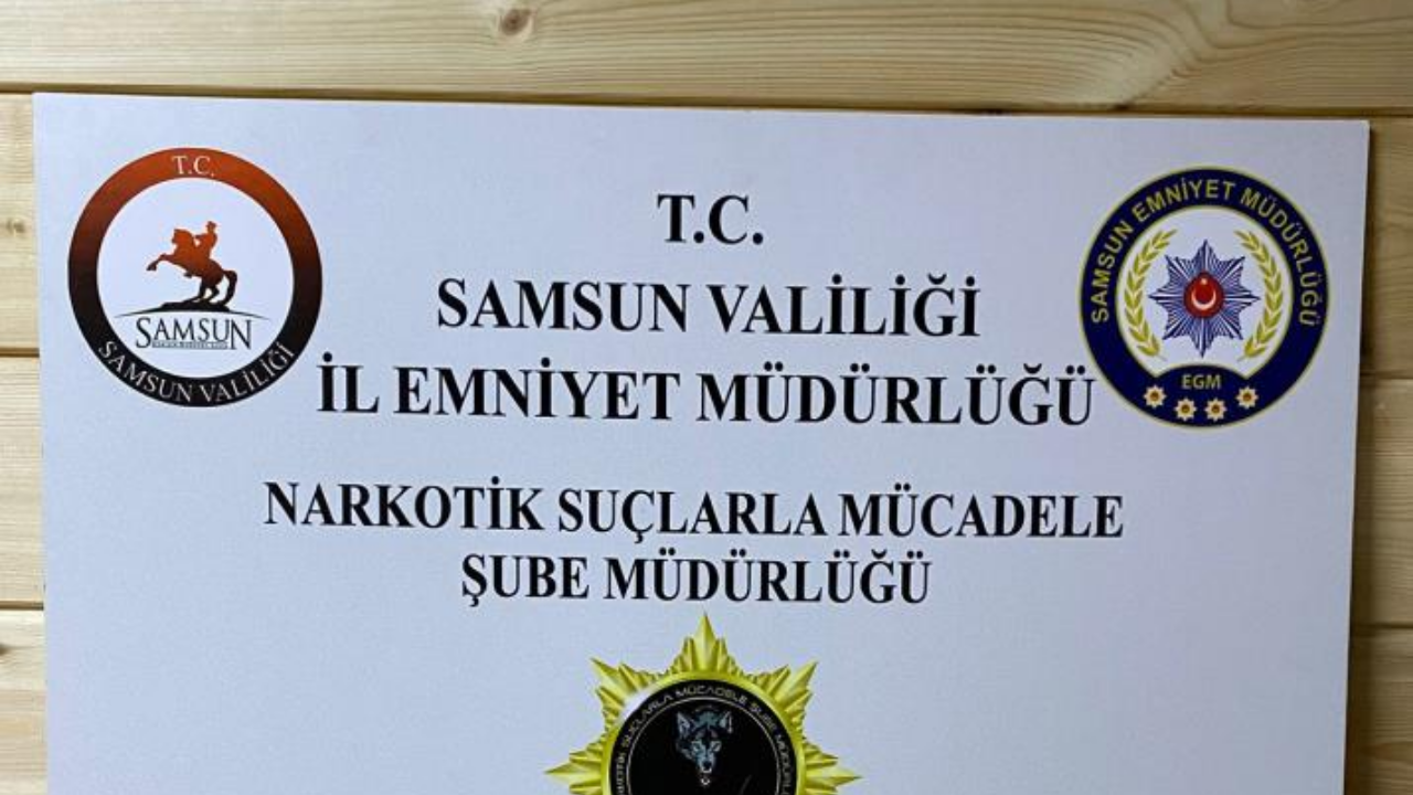 Samsun’da 142,5 Gram Skunk Ele Geçirildi: Bir Kişi Gözaltında