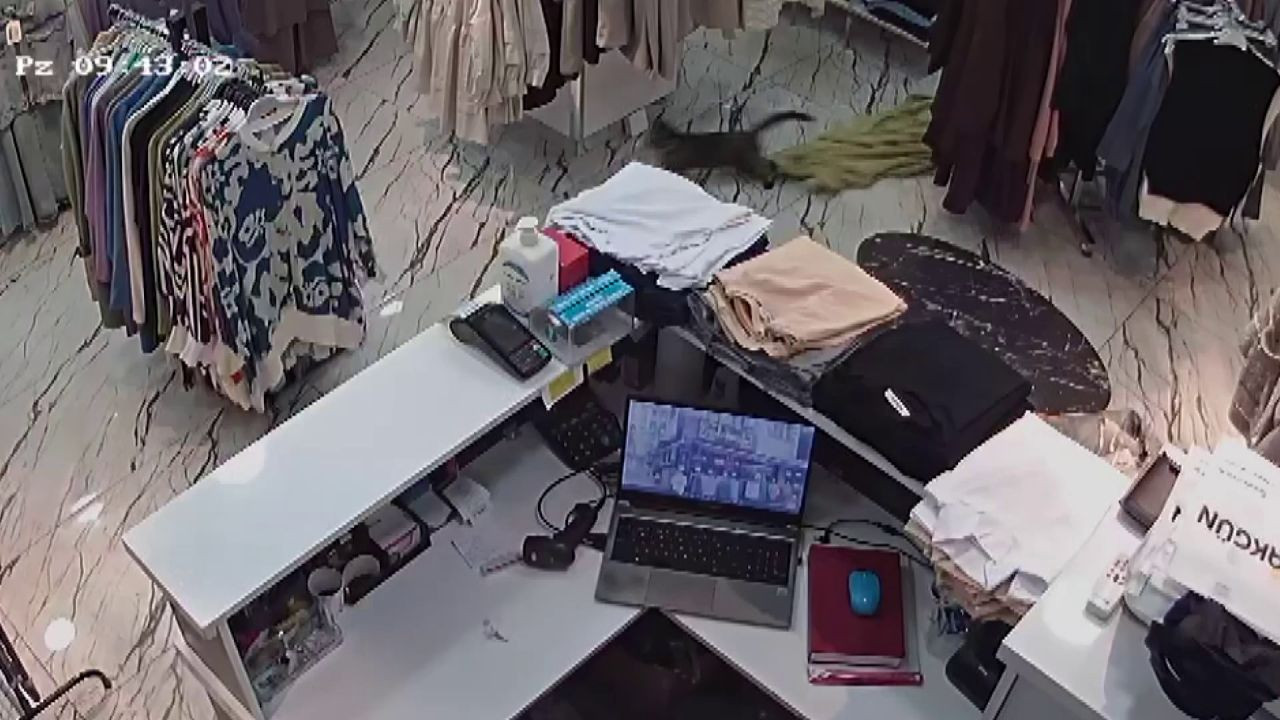 Akyazı’da Haylaz Kedi Elbise Çaldı: Güvenlik Kamerası O Anları Kaydetti - Sayfa 1