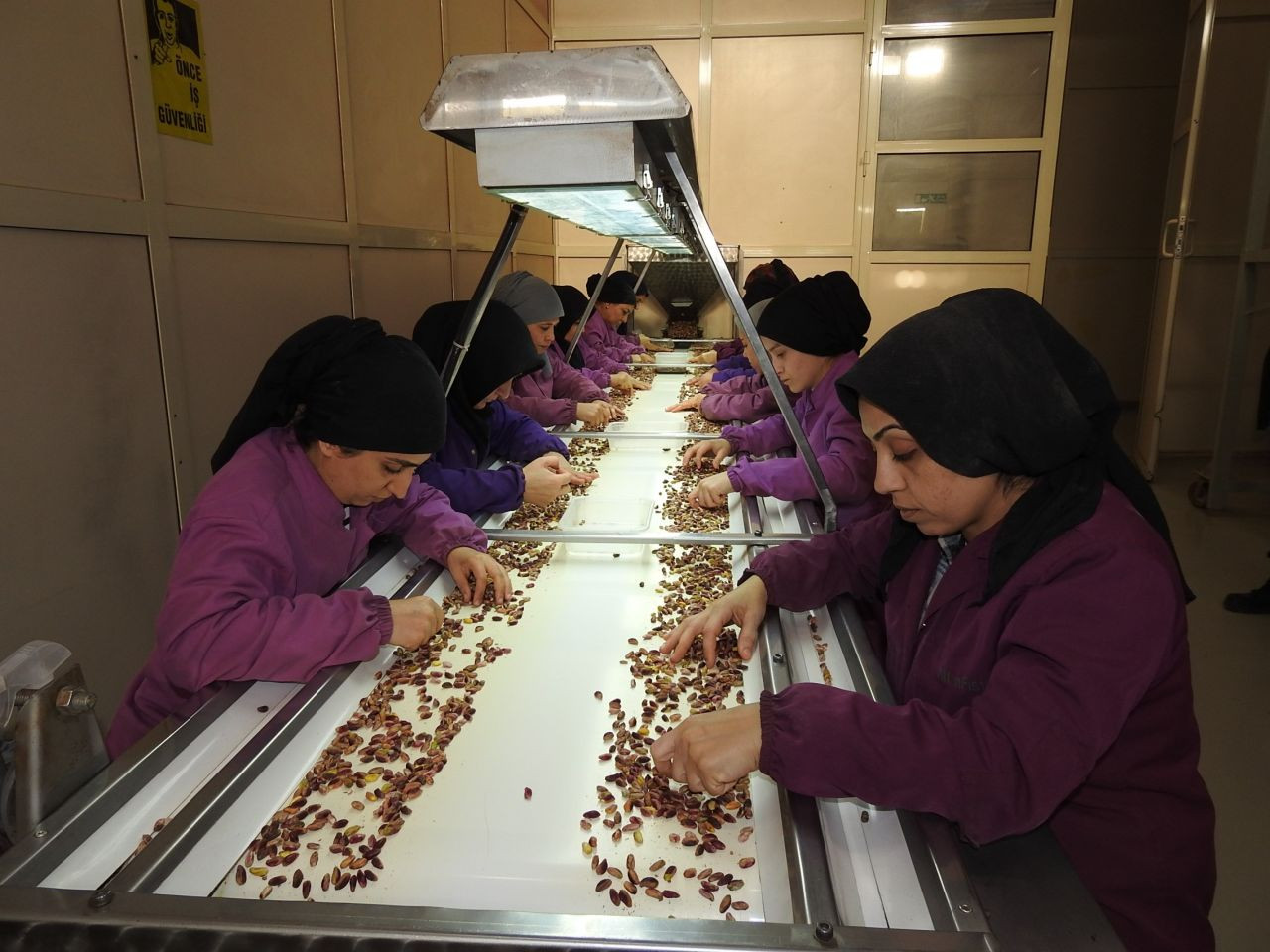 Girdiği Her Ürüne Değer Katan Antep Fıstığının İhracatı Arttı! - Sayfa 1