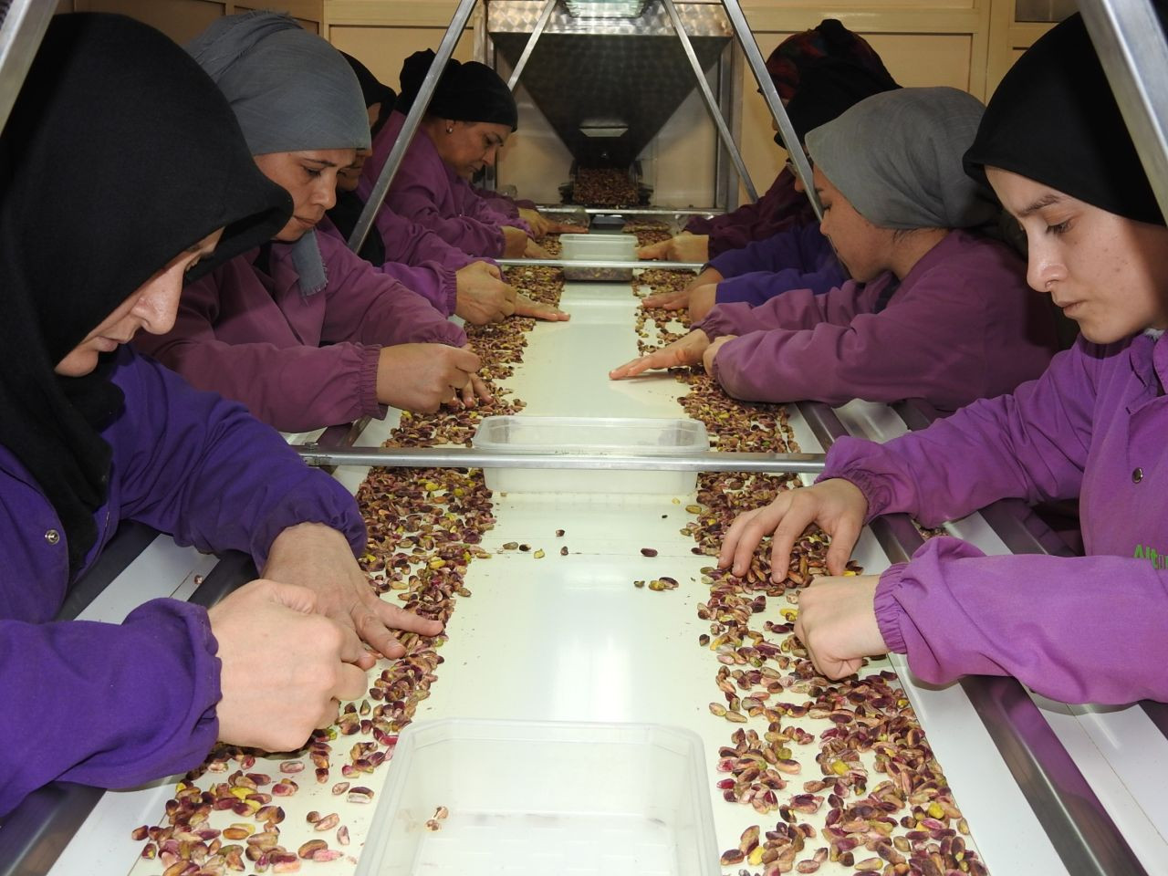 Girdiği Her Ürüne Değer Katan Antep Fıstığının İhracatı Arttı! - Sayfa 2