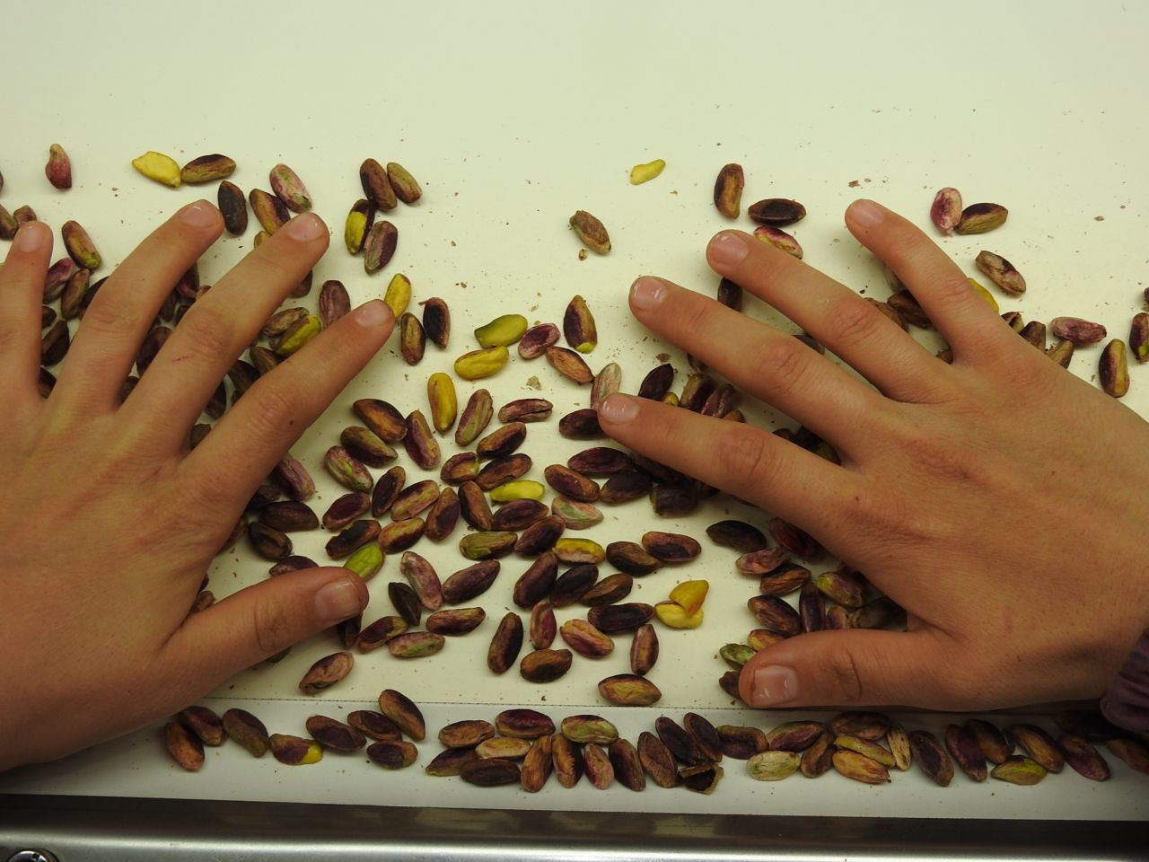 Girdiği Her Ürüne Değer Katan Antep Fıstığının İhracatı Arttı! - Sayfa 3