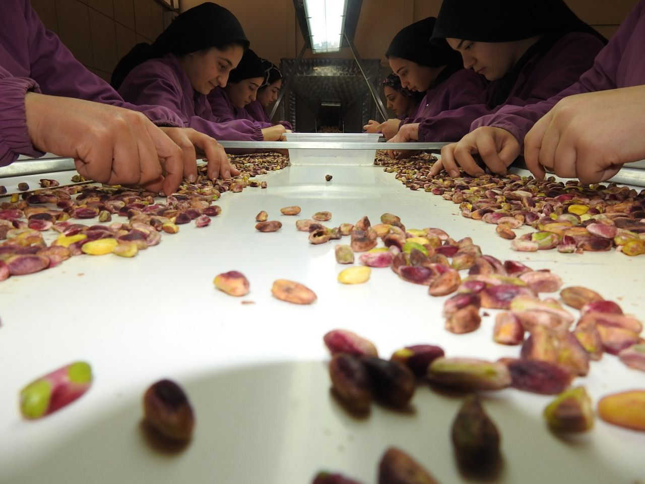 Girdiği Her Ürüne Değer Katan Antep Fıstığının İhracatı Arttı! - Sayfa 4