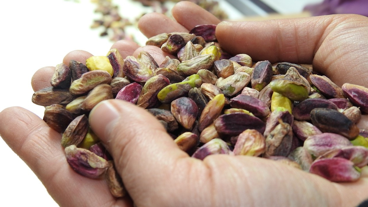 Girdiği Her Ürüne Değer Katan Antep Fıstığının İhracatı Arttı!