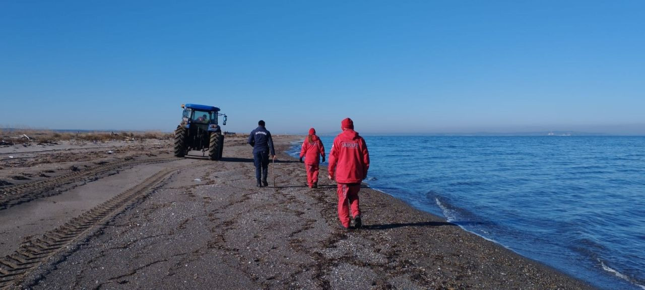 İstanbul'da Denize Düşen İki Kardeş İçin Çanakkale'de Arama Başlatıldı - Sayfa 2