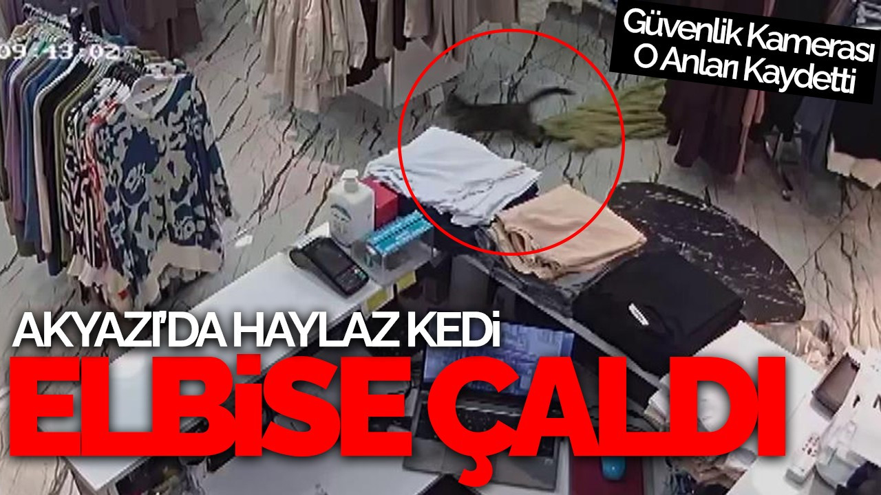 Akyazı’da Haylaz Kedi Elbise Çaldı: Güvenlik Kamerası O Anları Kaydetti