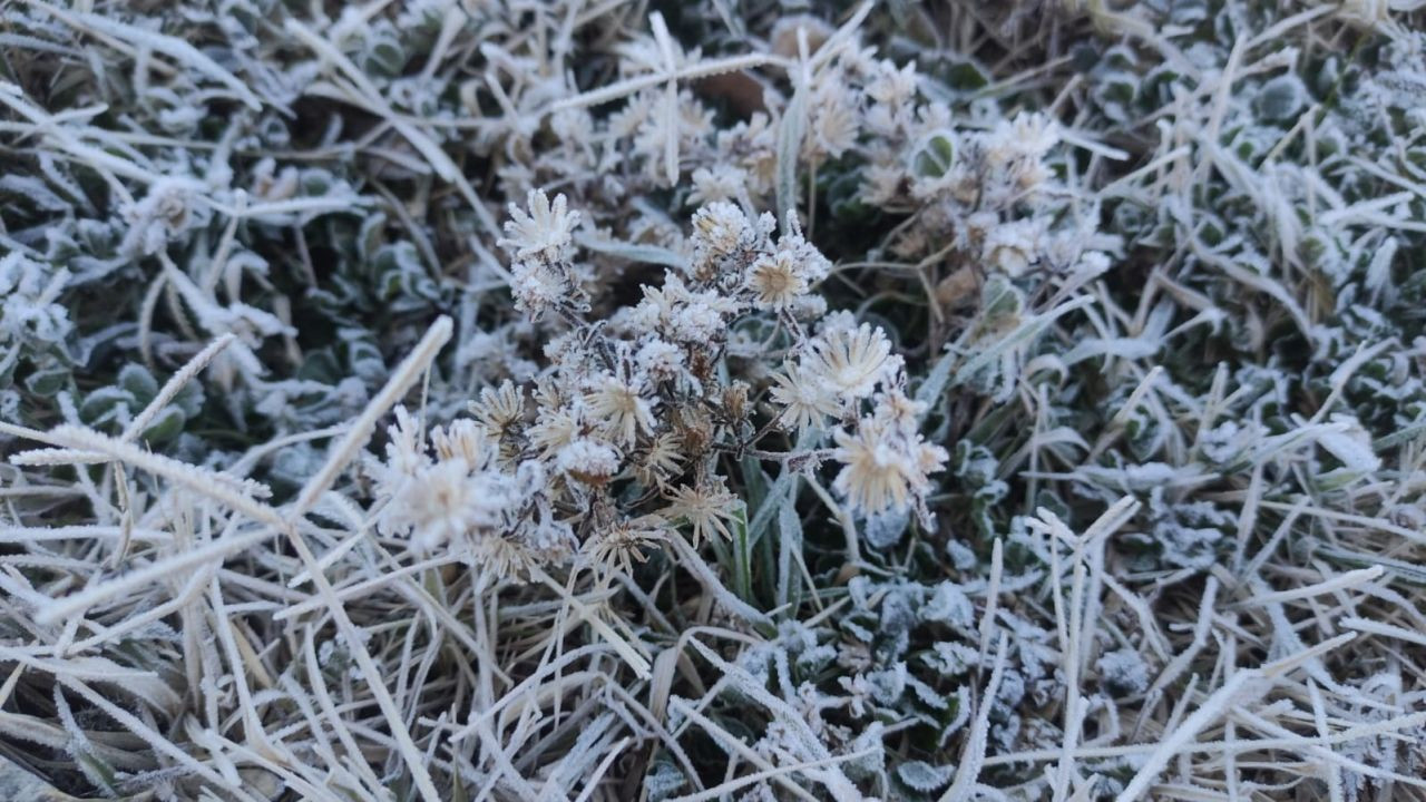 Batman'da Kırağı Etkisi Görsel Şölen Oluşturdu - Sayfa 1