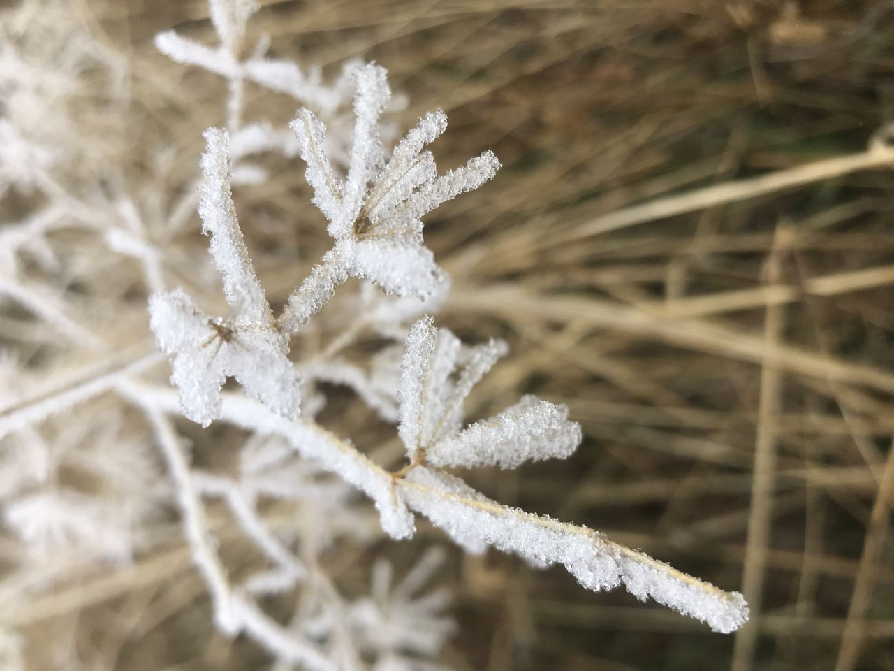 Batman'da Kırağı Etkisi Görsel Şölen Oluşturdu - Sayfa 2