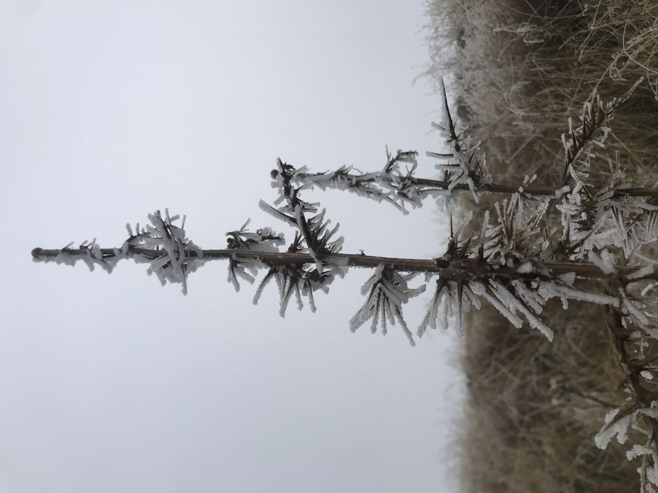 Batman'da Kırağı Etkisi Görsel Şölen Oluşturdu - Sayfa 3
