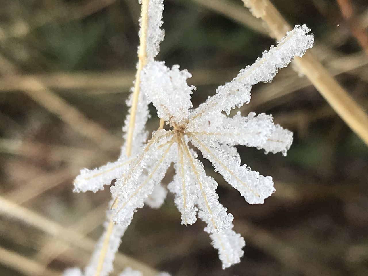 Batman'da Kırağı Etkisi Görsel Şölen Oluşturdu - Sayfa 4