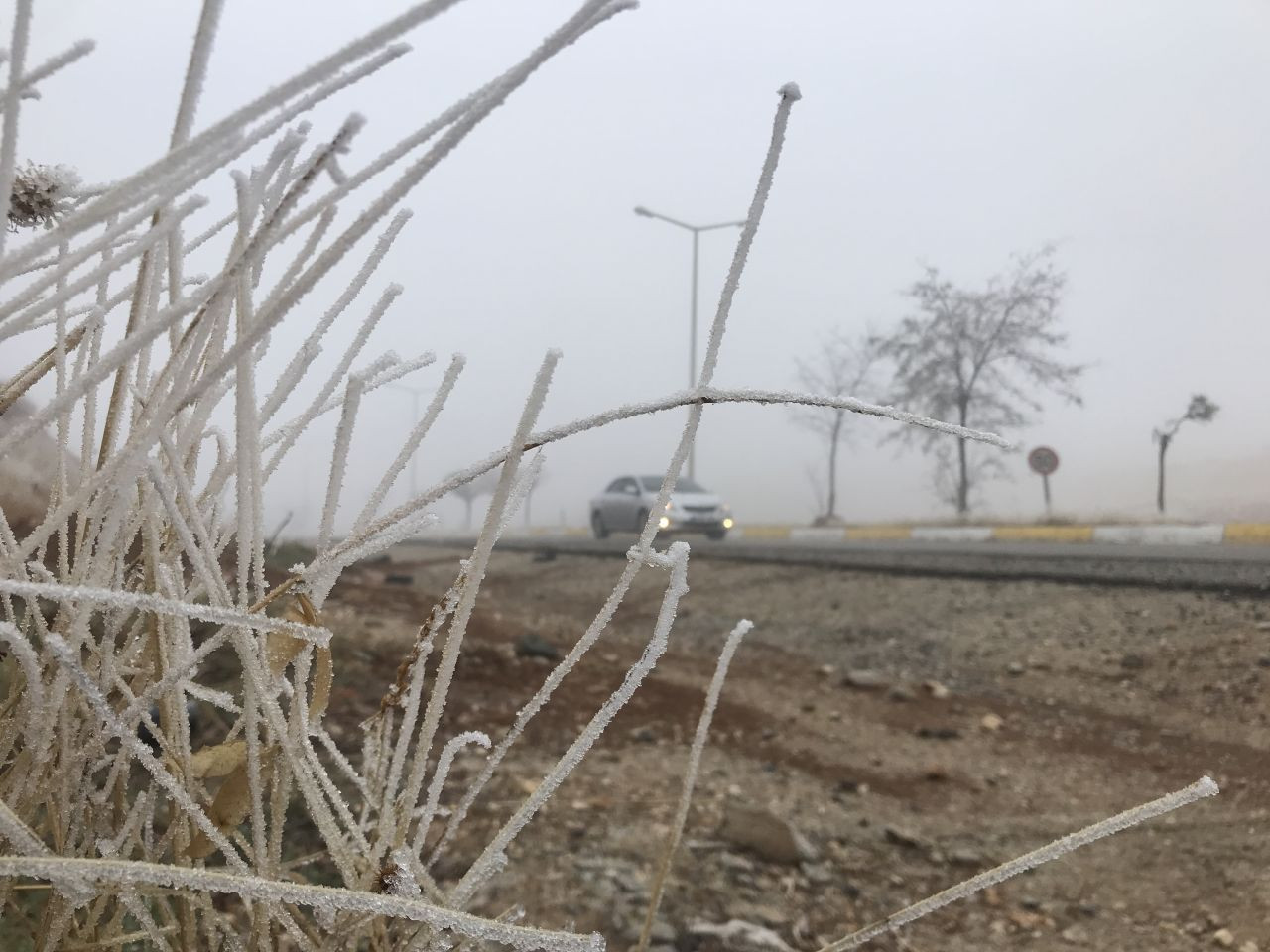 Batman'da Kırağı Etkisi Görsel Şölen Oluşturdu - Sayfa 6