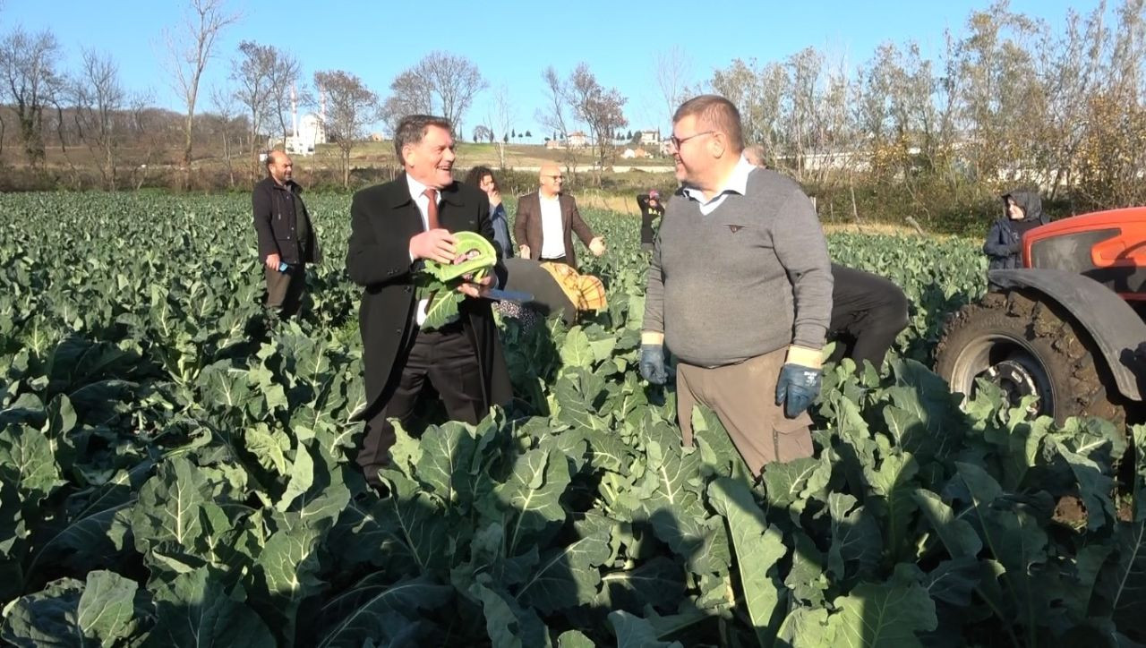 Rengarenk Karnabaharların Hasadı Yapıldı - Sayfa 2