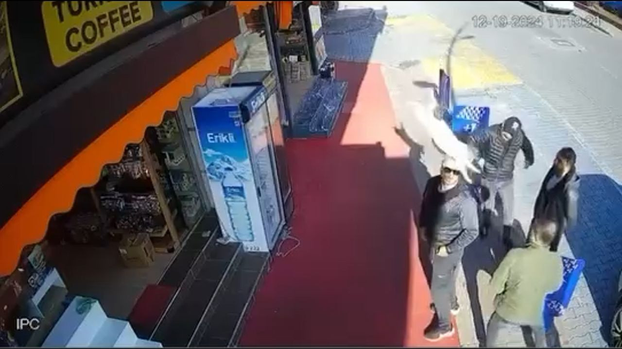 Antalya'da Kaldırımda Sohbet Eden Gencin Kafasına Kedi Düştü - Sayfa 1