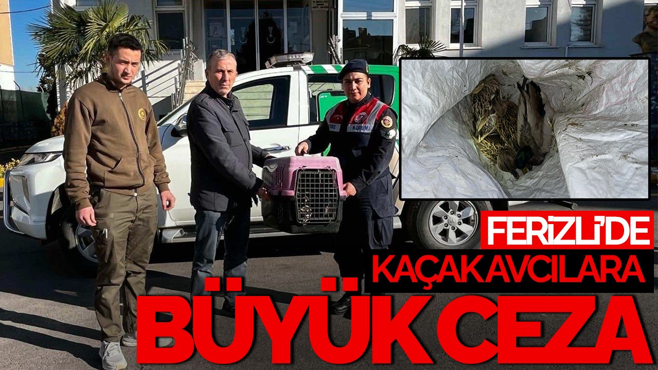 Sakarya'da Kaçak Avcılara Büyük Ceza