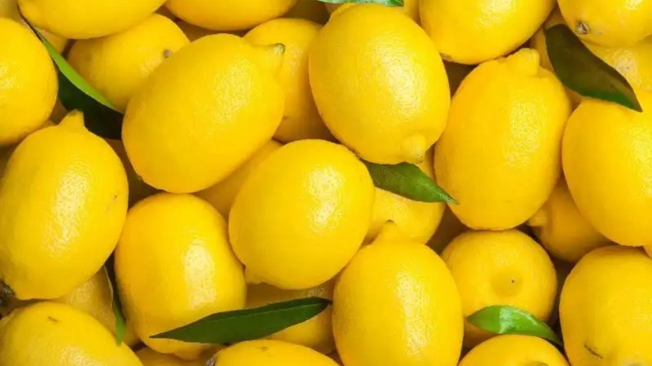 Limonlar gümrükten geri gönderildi, AB alarm verdi - Sayfa 1