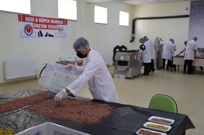 Kullanım Dışı Gıdalar, Öğrencilerin Ellerinde Mamaya Dönüştü - Sayfa 5