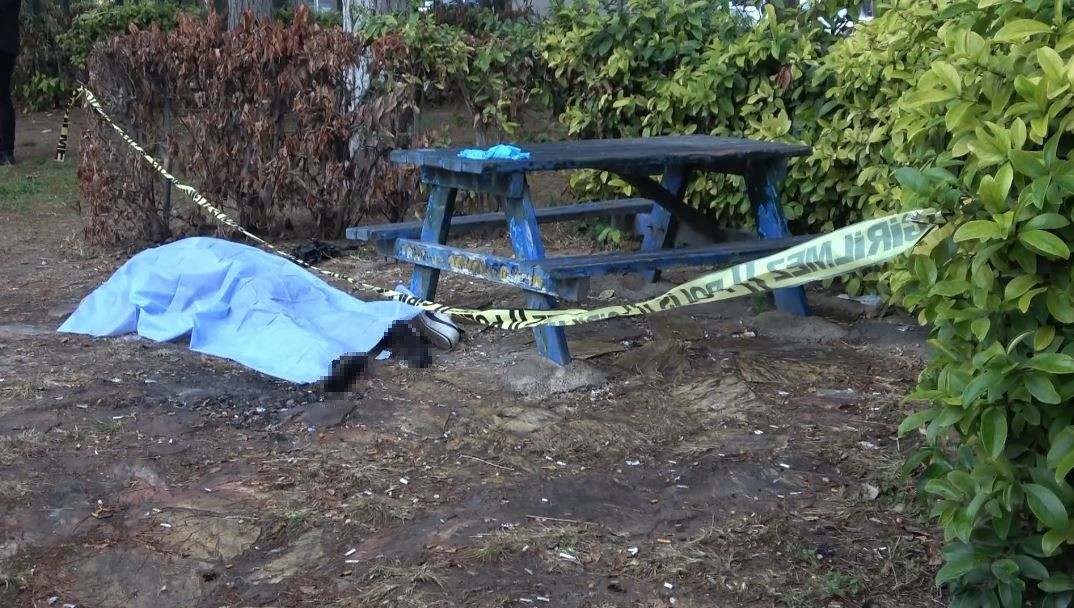 Mobilya Ustası Parkta Ölü Bulundu, Ceset Şemsiye Altında İncelendi - Sayfa 2