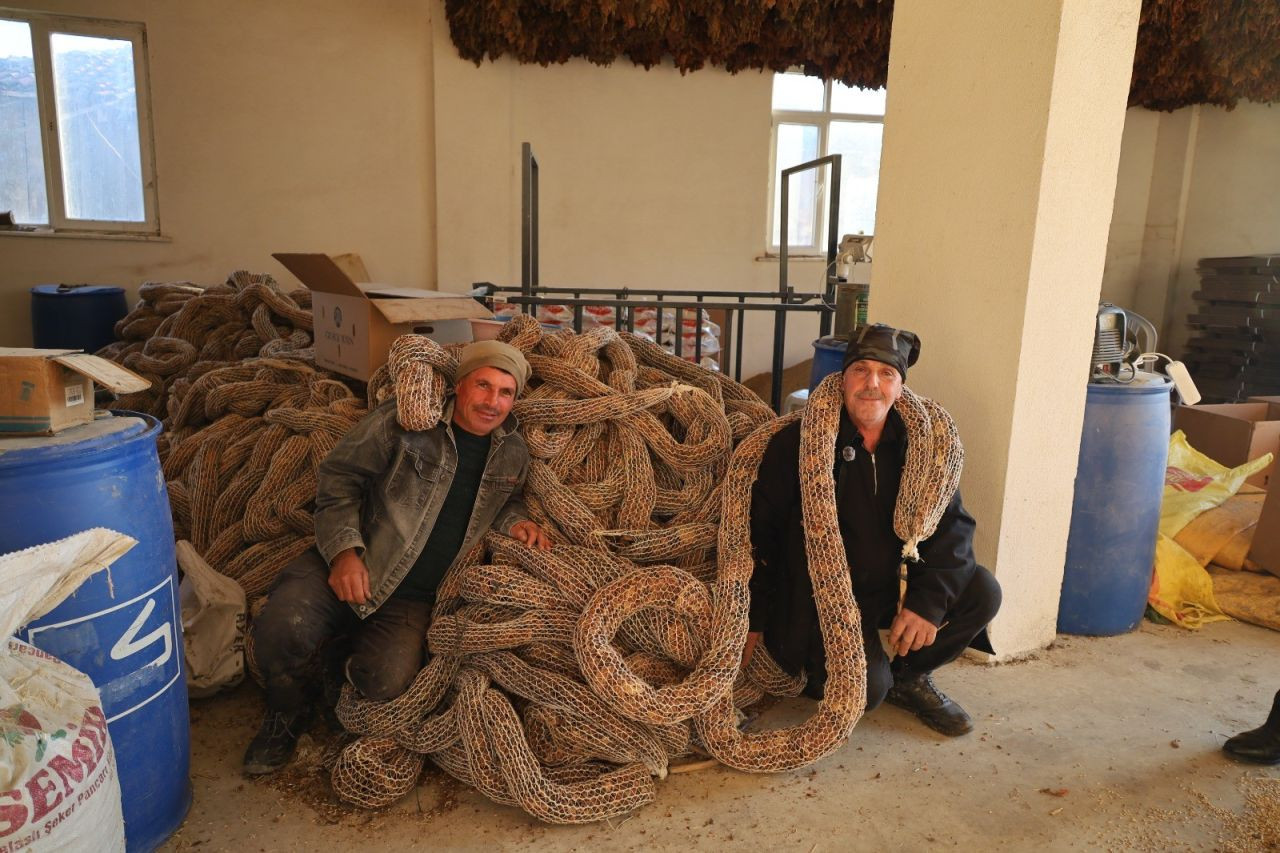 Üreticilerin, Tütün Fiyat Beklentisi 450 TL! - Sayfa 2