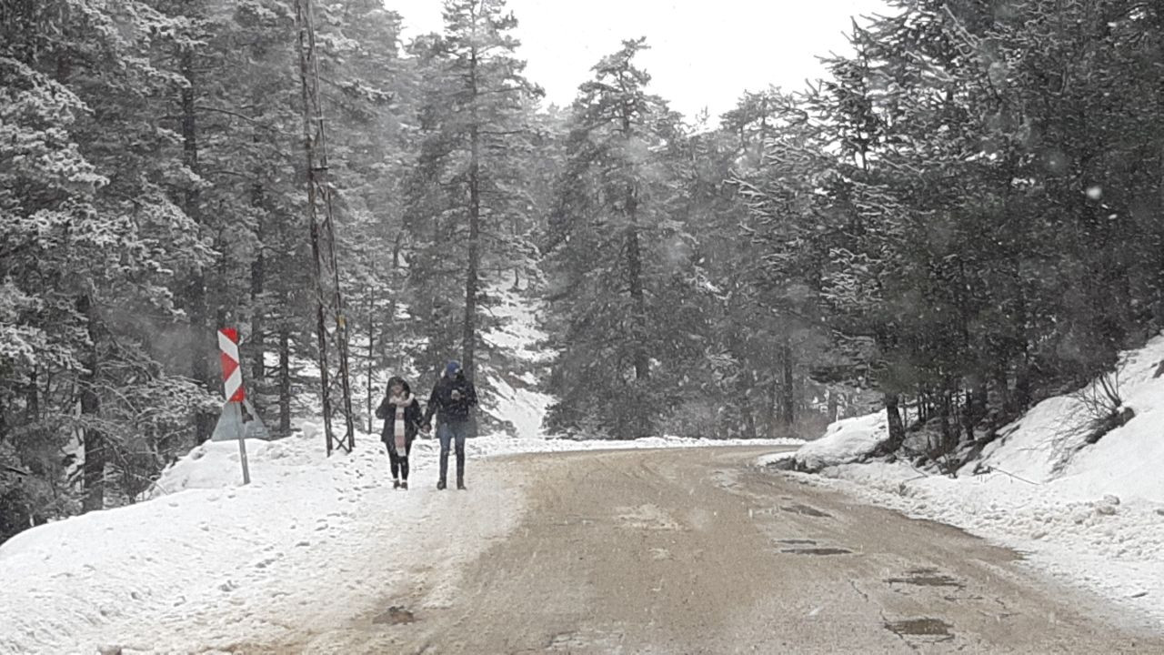 Bolu Abant Gölü Milli Parkı’nda Kar Yağışı Başladı - Sayfa 1