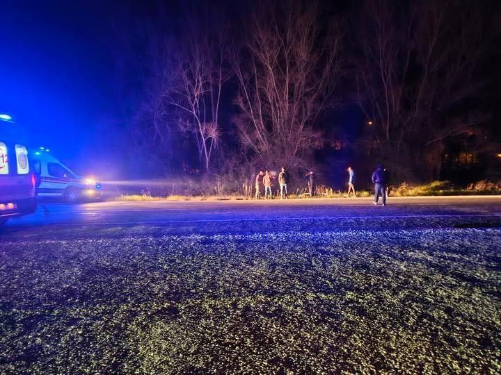 Zonguldak’ta Yola Çıkan Domuz Kazaya Neden Oldu: Otomobil Şarampole Uçtu - Sayfa 2