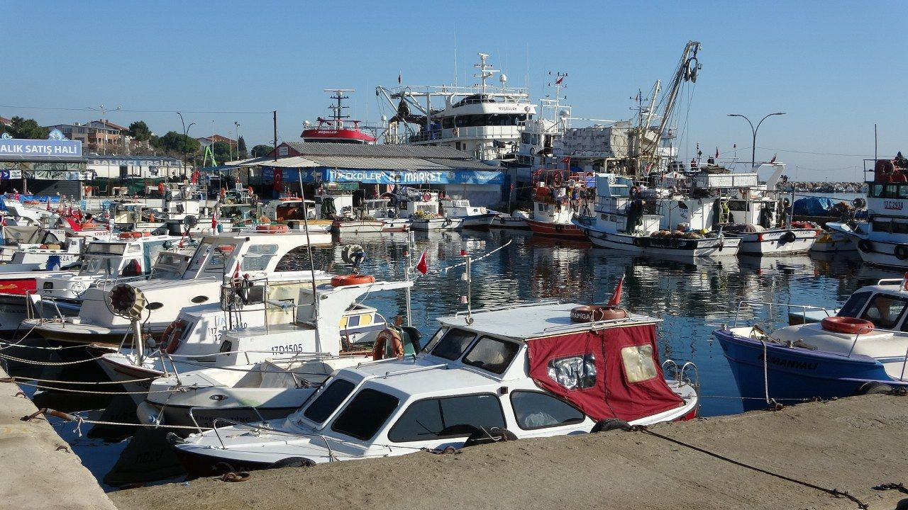 Yeni Karabiga Limanı 10 bin tonluk gemilere hizmet verecek - Sayfa 7