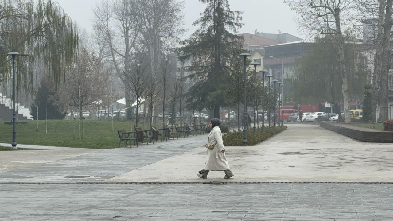 Düzce'de sis hakim - Sayfa 3