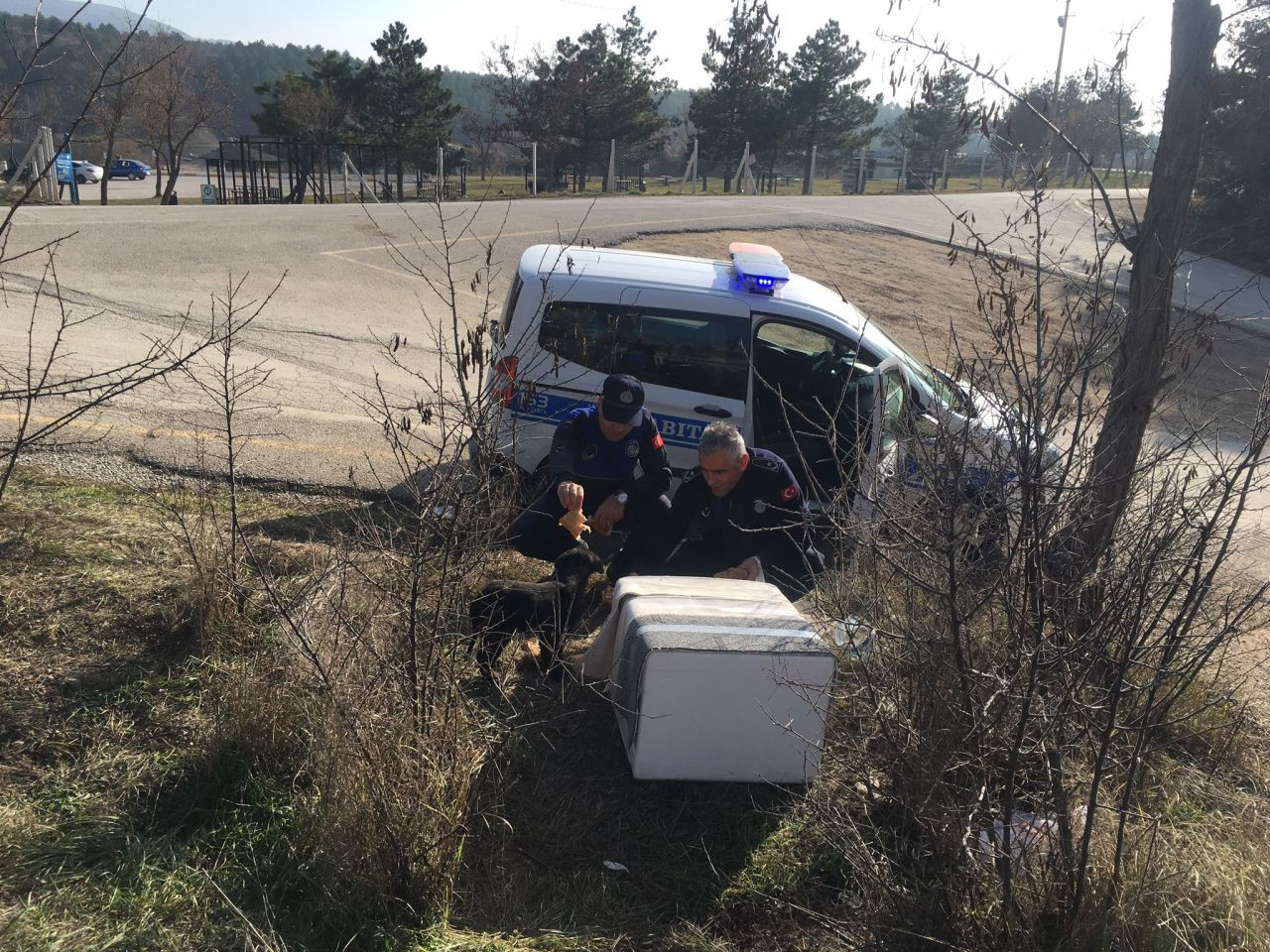 Çorum'da Zabıta Ekiplerinden Sokak Hayvanlarına Şefkat Eli - Sayfa 5