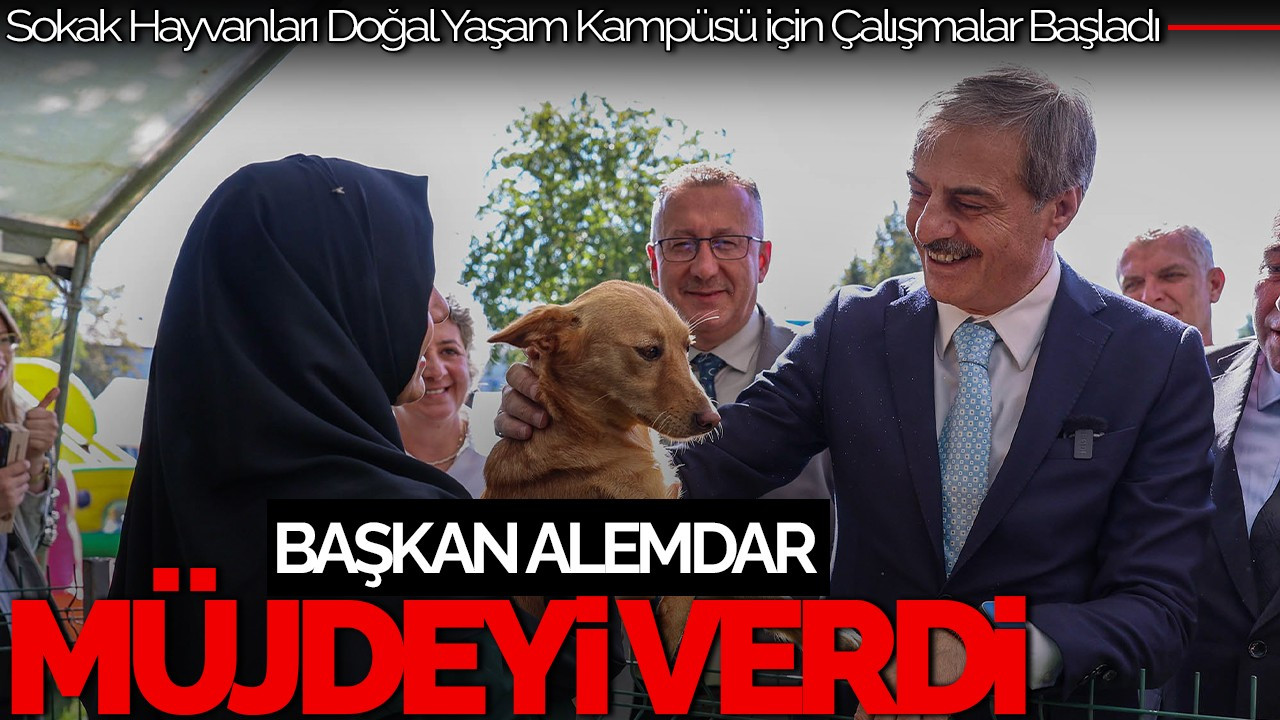 Başkan Alemdar'dan Sokak Hayvanlarına Doğal Yaşam Kampüsü Müjdesi