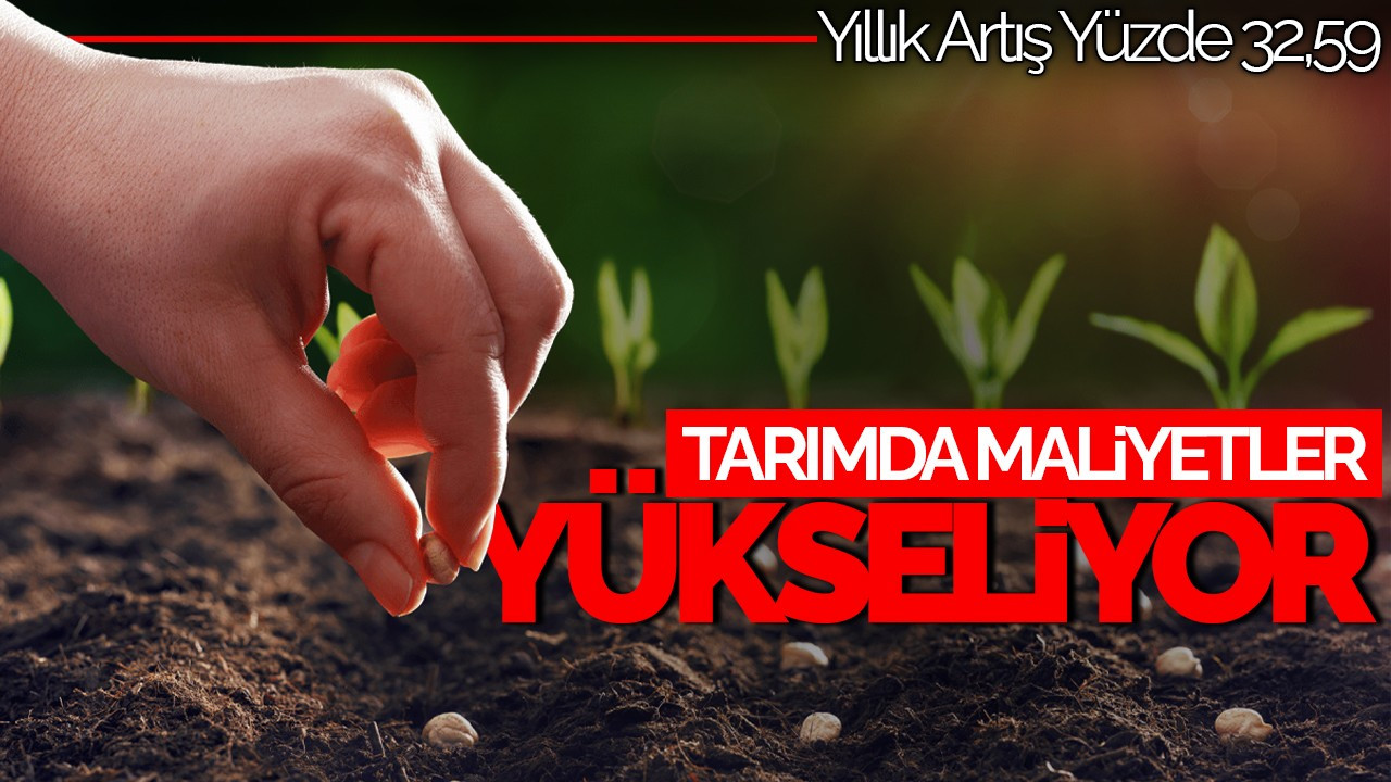 Tarımda Maliyetler Yükseliyor: Yıllık Artış Yüzde 32,59