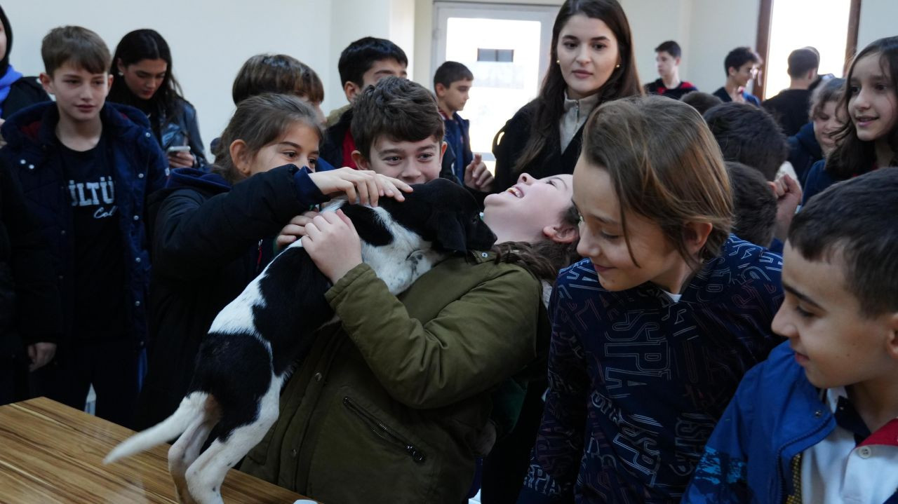 Öğrencilerden Sokak Hayvanlarına 225 Kilo Mama Bağışı - Sayfa 2