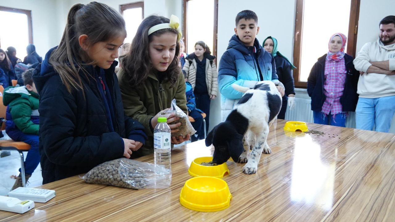 Öğrencilerden Sokak Hayvanlarına 225 Kilo Mama Bağışı - Sayfa 3