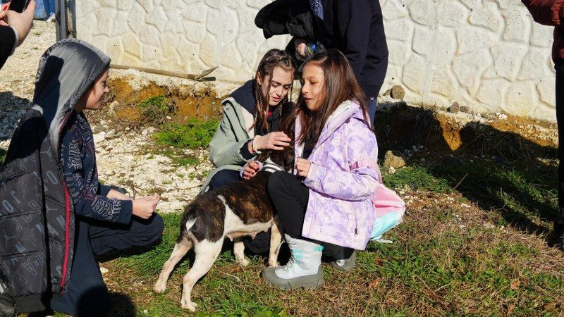 Öğrencilerden Sokak Hayvanlarına 225 Kilo Mama Bağışı - Sayfa 5