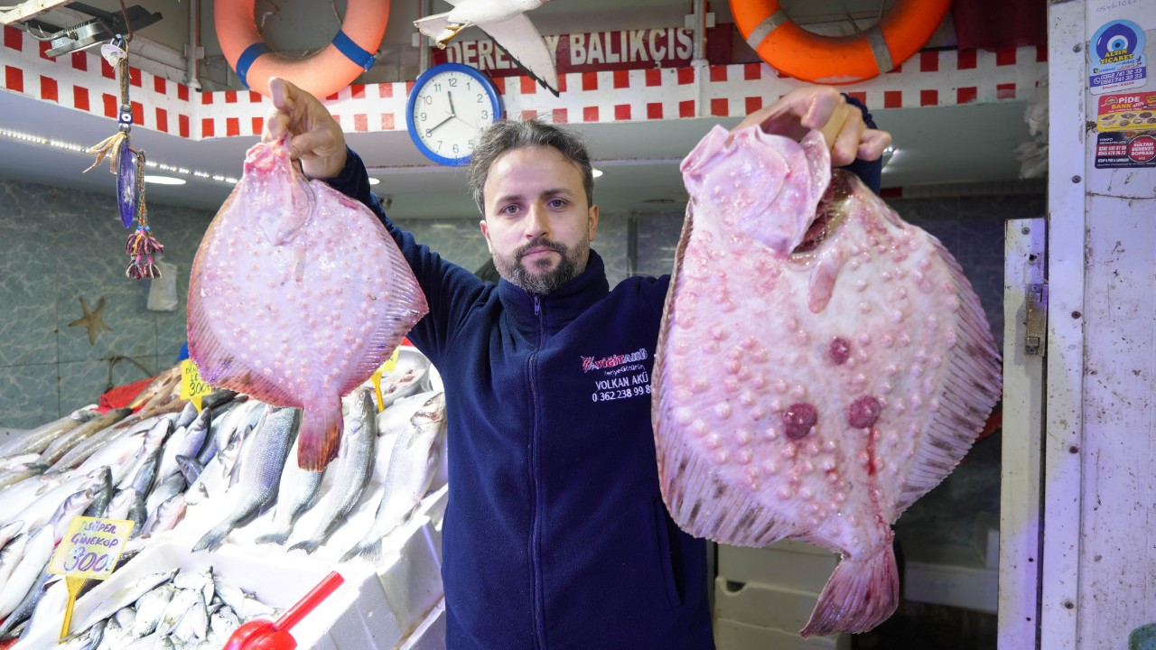 Samsun'da Fiyatı Altınla Yarışan Balık: Kalkanın Kilosu Bin 200 TL