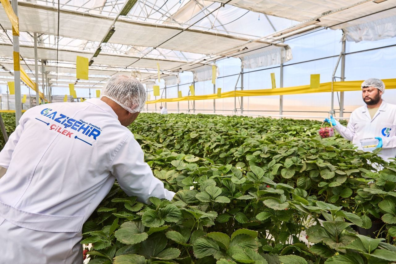 Gaziantep’te Çöpten Enerji Üreten Tesis Hem Elektrik Hem Isı Enerjisi Sağlıyor - Sayfa 3