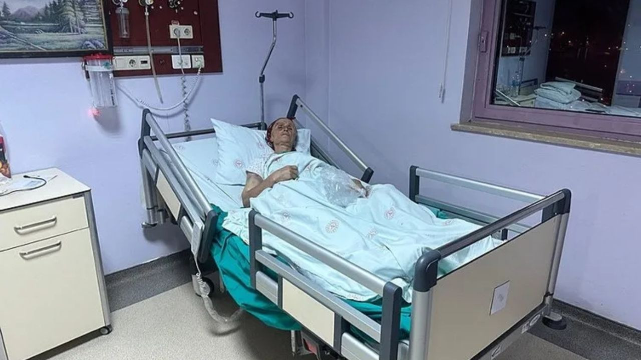 Tunceli'de 7 Sokak Köpeği 65 Yaşındaki Kadına Saldırdı: 50 Dikiş Atıldı! - Sayfa 2