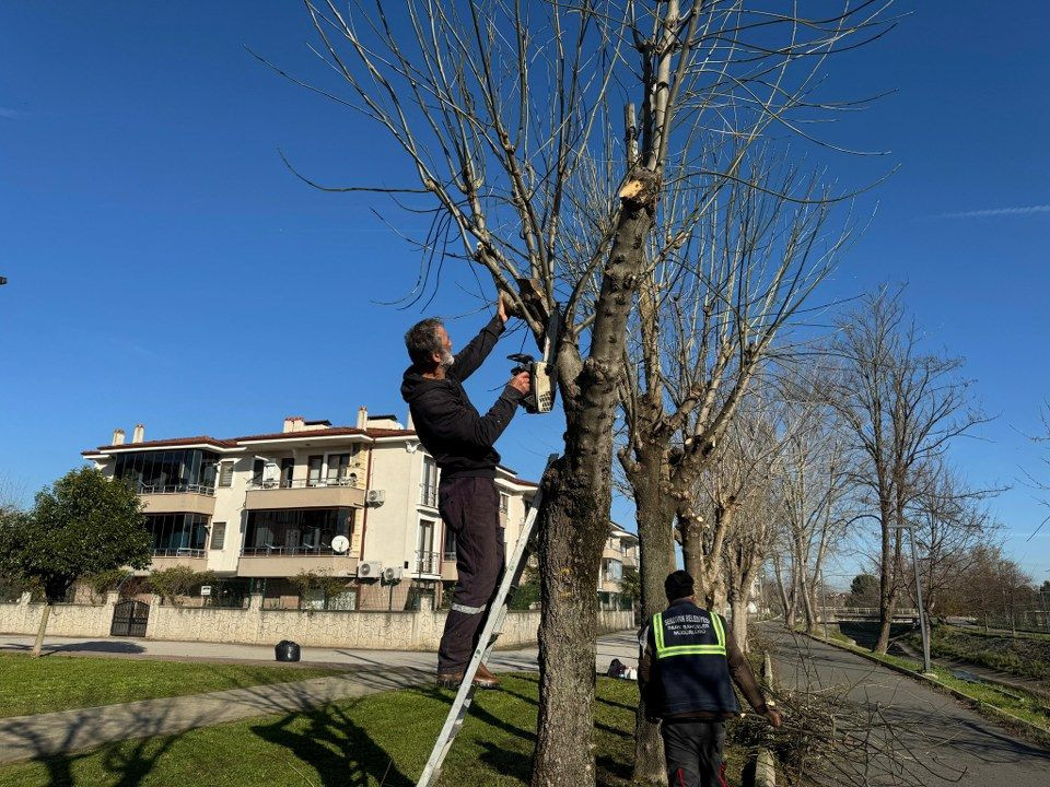 Serdivan'da Kanal Boyunda Çevre Düzenlemesi: Yeni Yürüyüş Yolları ve Estetik Peyzaj! - Sayfa 1