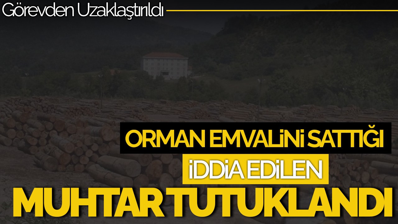 Sakarya'da Orman Emvalini Sattığı İddia Edilen Muhtar Tutuklandı