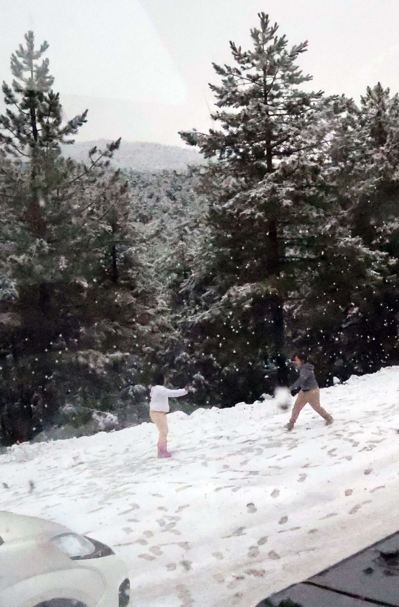 Muğla’nın Yüksek Kesimlerinde Kar Yağışı: Ekipler Seferber Oldu - Sayfa 2