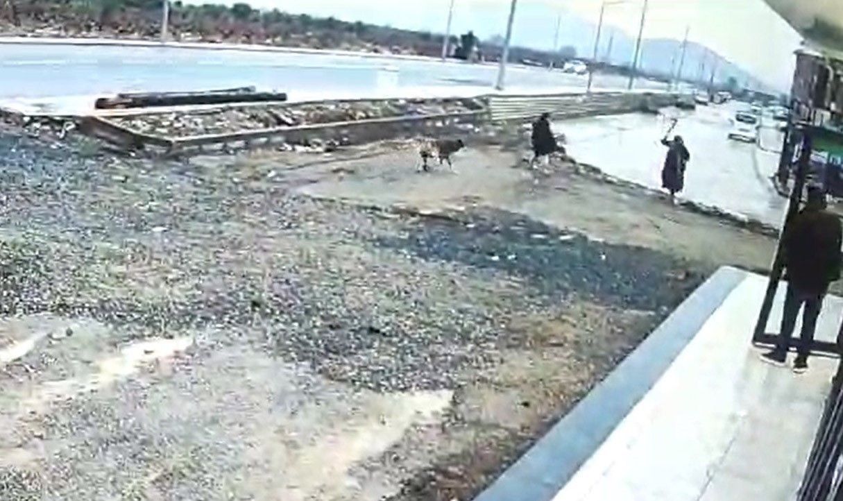 Gaziantep'te Başıboş Köpek Kız Çocuğuna Saldırdı - Sayfa 2