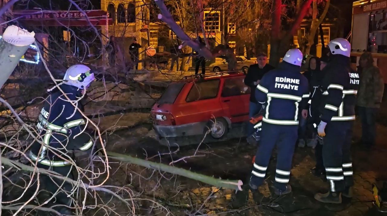 Edirne'de Çürüyen Ağaç Park Halindeki Otomobilin Üzerine Devrildi - Sayfa 1