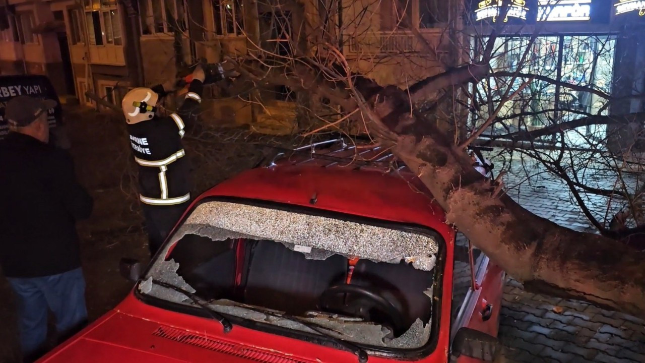 Edirne'de Çürüyen Ağaç Park Halindeki Otomobilin Üzerine Devrildi