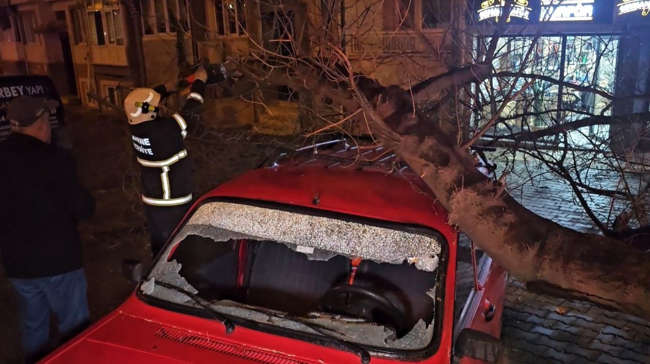 Edirne'de Çürüyen Ağaç Park Halindeki Otomobilin Üzerine Devrildi - Sayfa 2