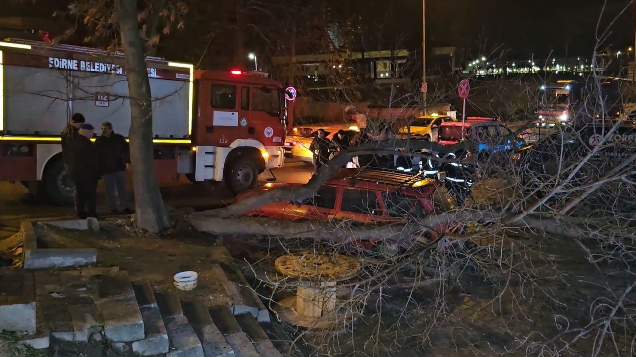 Edirne'de Çürüyen Ağaç Park Halindeki Otomobilin Üzerine Devrildi - Sayfa 3