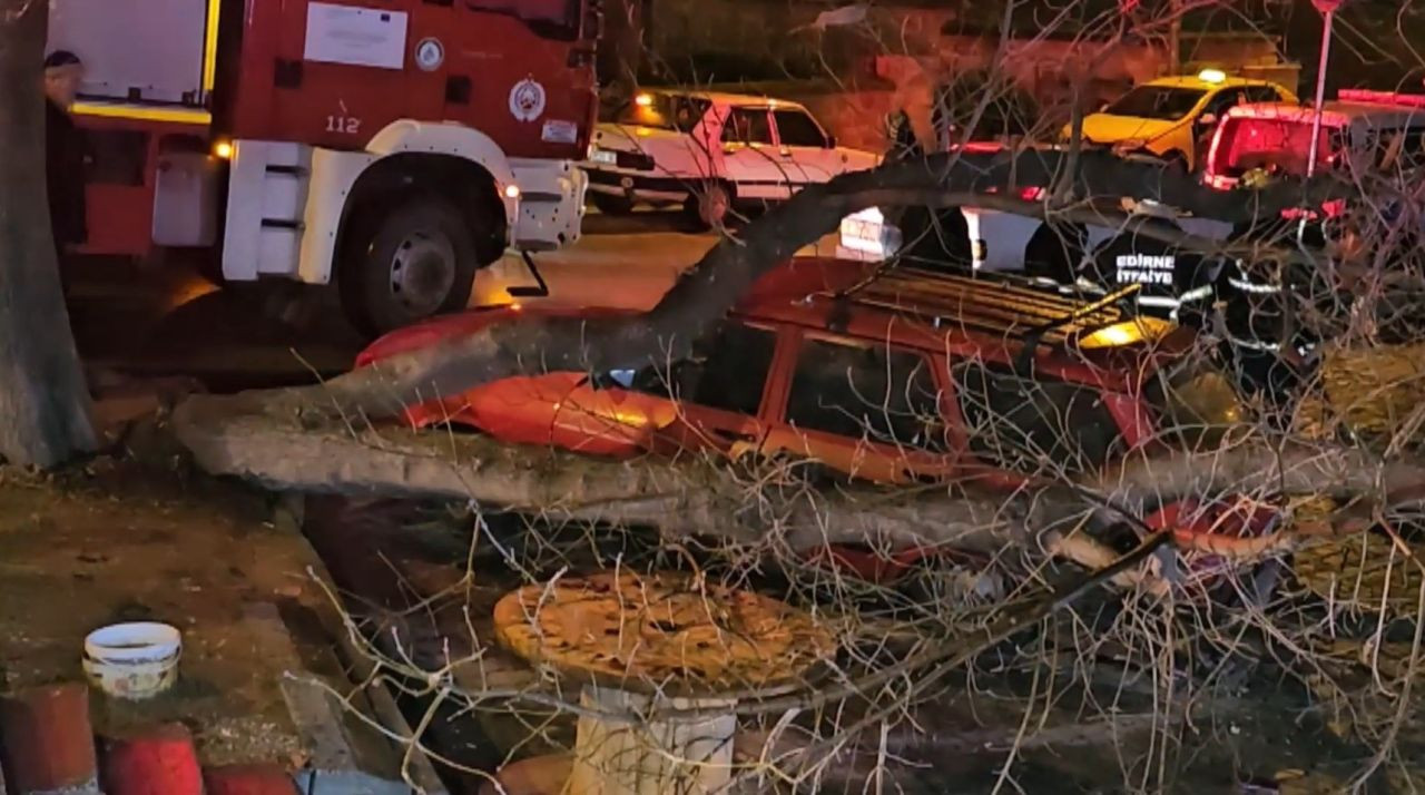 Edirne'de Çürüyen Ağaç Park Halindeki Otomobilin Üzerine Devrildi - Sayfa 4