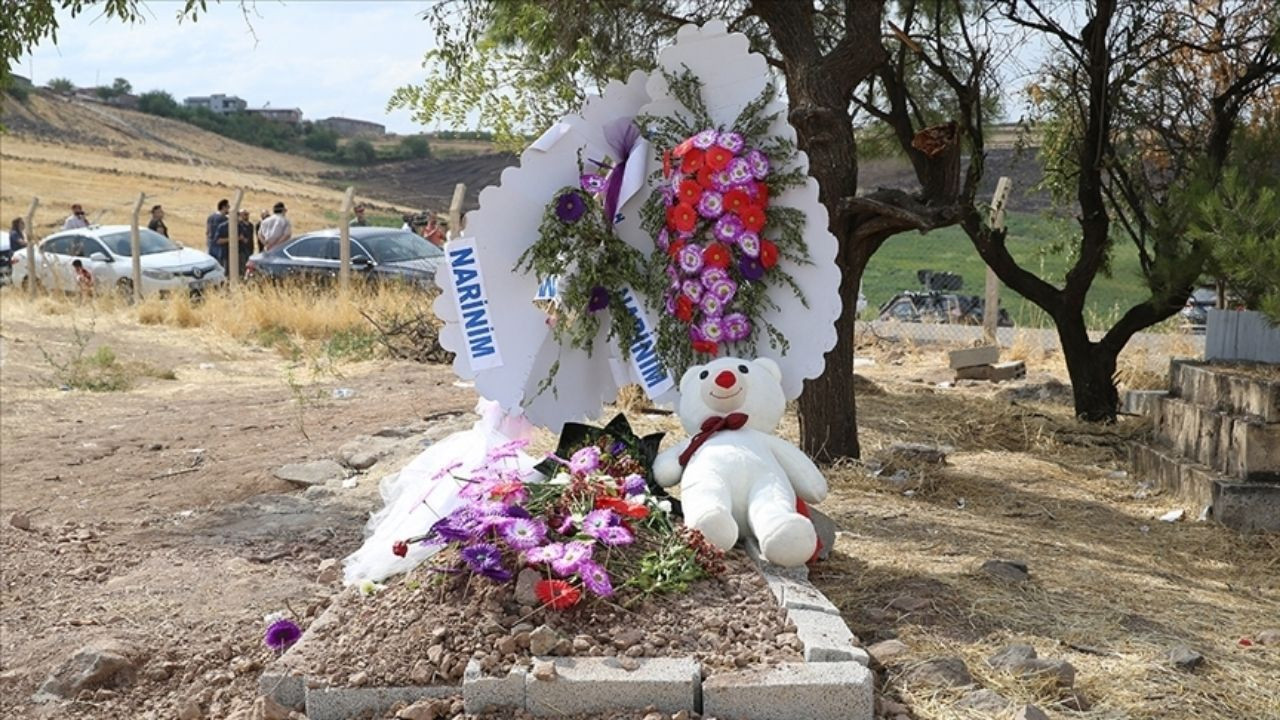 Narin Cinayeti Davası Sanığı Nevzat Bahtiyar: ''Narin’i Ben Öldürmedim, Sadece Taşıdım’’ - Sayfa 3