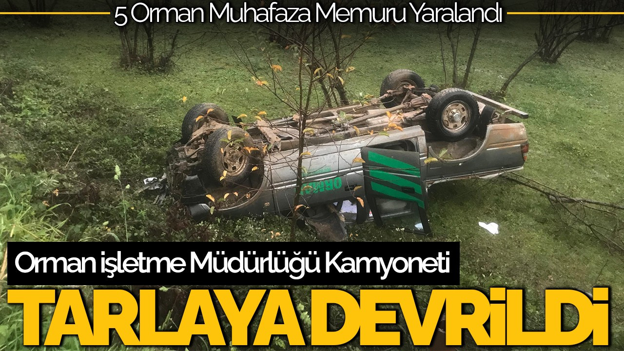 Sakarya’da Kamyonet Tarlaya Devrildi: 5 Orman Muhafaza Memuru Yaralandı