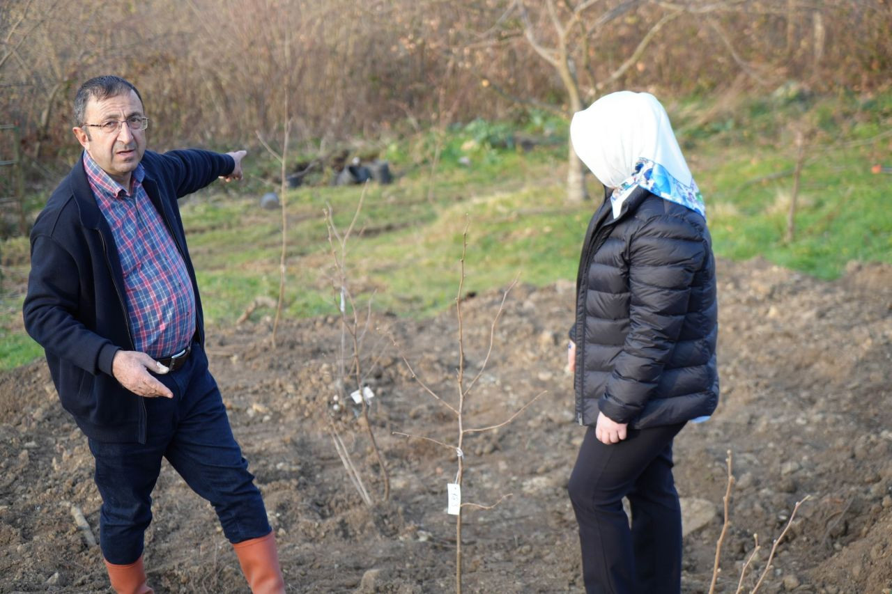 Fındık Üreticisinin En Büyük Derdi Tarih Oluyor - Sayfa 2