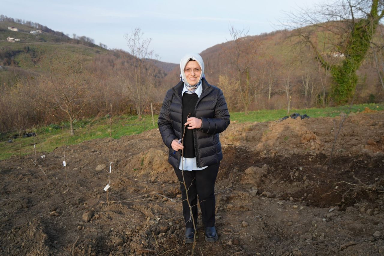 Fındık Üreticisinin En Büyük Derdi Tarih Oluyor - Sayfa 5